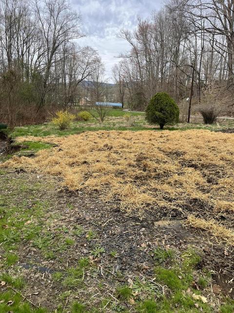 615 Evans Dr, Middlesboro, KY 40965 photo 2