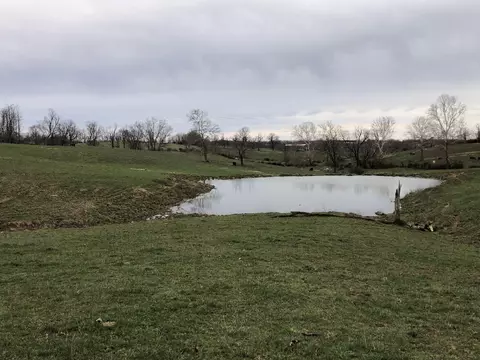 289 Lake Rd, Paris, KY 40361