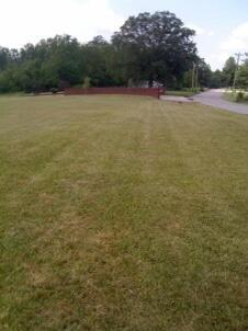 0000 Pleasant Rdg, Strunk, KY 42649