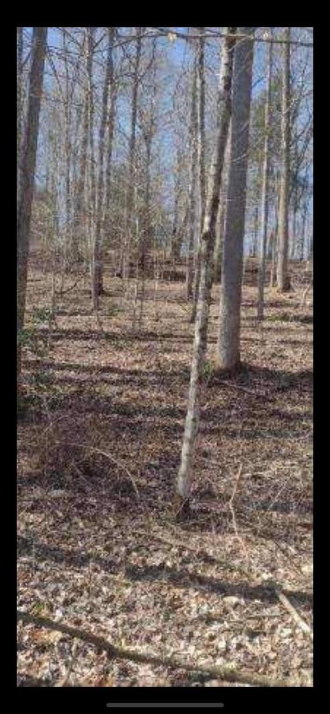 3 Pine Grove Rd # C, Beattyville, KY 41311