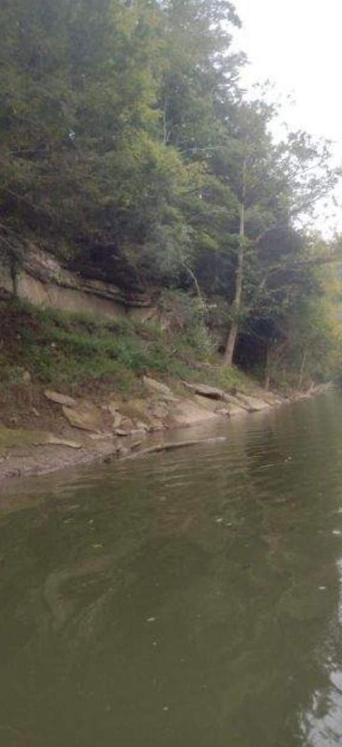5 Pine Grove Rd # E, Beattyville, KY 41311