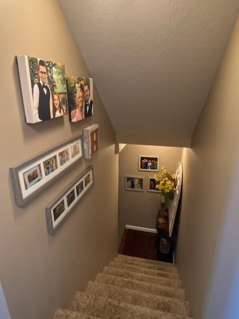 1695 Flatwoods Rd, Nancy, KY 42544 photo 35