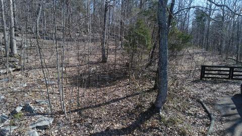 46 Sugar Hill Forest Dr, Somerset, KY 42503