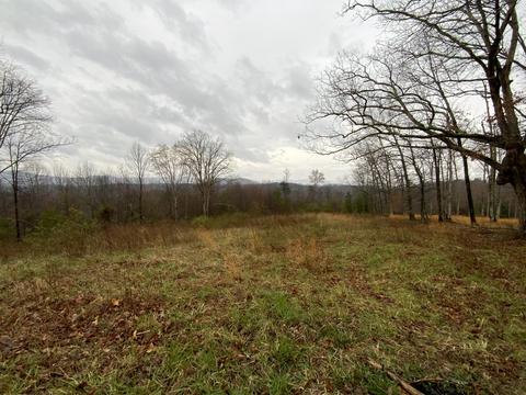 643 Edd Stephens Rd, Pine Knot, KY 42635 photo 5