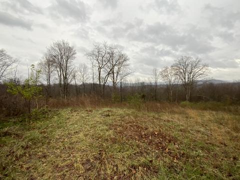 643 Edd Stephens Rd, Pine Knot, KY 42635 photo 2