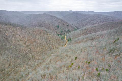 0 Cow Fork Rd, Beverly, KY 40913