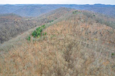 0 Cow Fork Rd, Beverly, KY 40913 photo 7