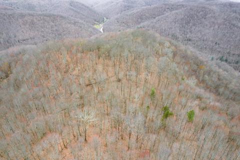0 Cow Fork Rd, Beverly, KY 40913 photo 8