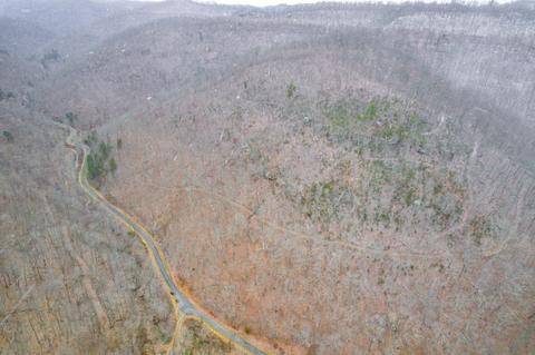 0 Cow Fork Rd, Beverly, KY 40913 photo 19