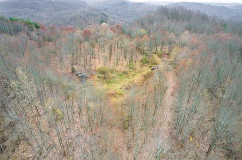0 Cow Fork Rd, Beverly, KY 40913 photo 5