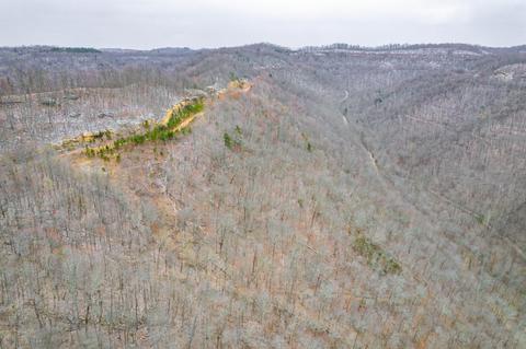 0 Cow Fork Rd, Beverly, KY 40913 photo 23