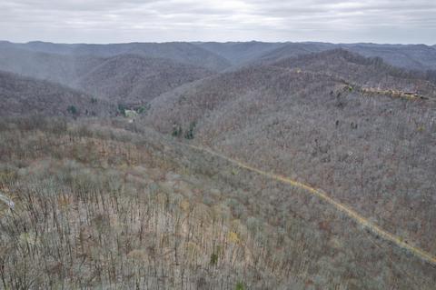 0 Cow Fork Rd, Beverly, KY 40913 photo 29