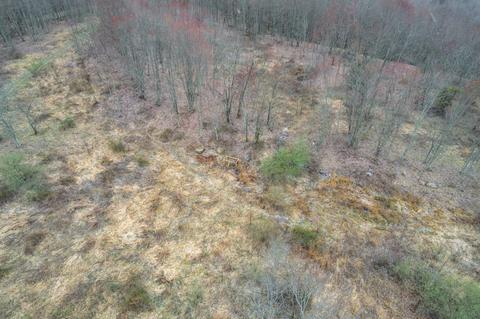 0 Cow Fork Rd, Beverly, KY 40913 photo 15