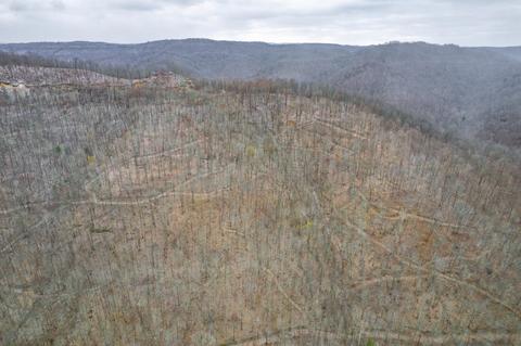 0 Cow Fork Rd, Beverly, KY 40913 photo 25