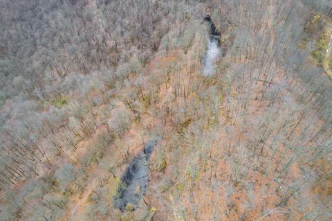 0 Cow Fork Rd, Beverly, KY 40913 photo 40