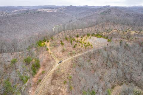 0 Cow Fork Rd, Beverly, KY 40913 photo 41