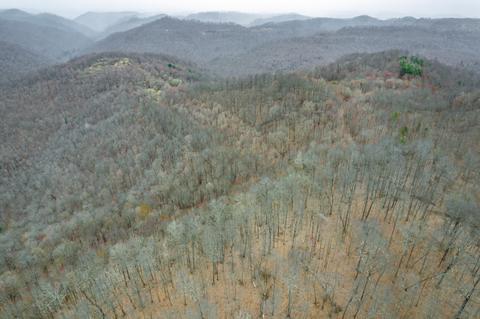 0 Cow Fork Rd, Beverly, KY 40913 photo 10