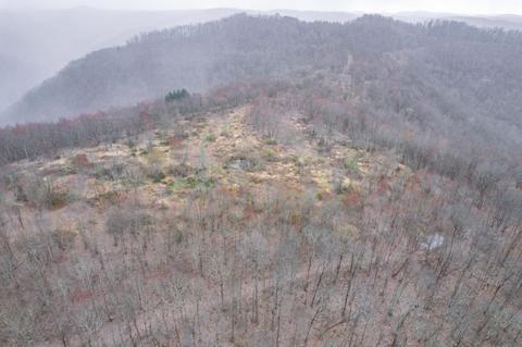 0 Cow Fork Rd, Beverly, KY 40913 photo 13
