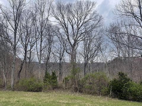 lot4 Hickory Pt, Monticello, KY 42633