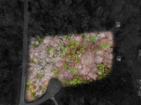 0000 Winwood Trl, Corbin, KY 40701 photo 3