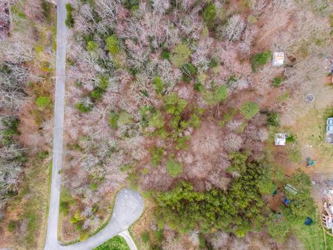 0000 Winwood Trl, Corbin, KY 40701 photo 5
