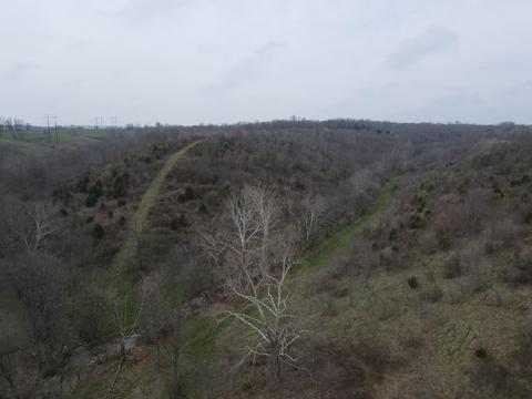 45 Jack Black Rd, Lancaster, KY 40444 photo 11