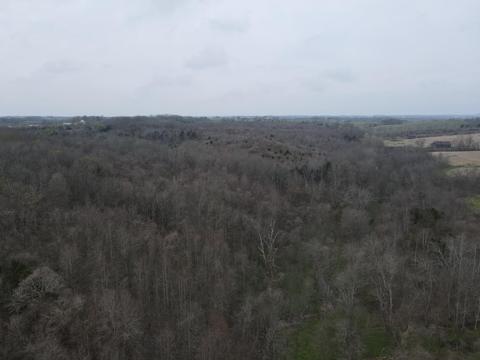 45 Jack Black Rd, Lancaster, KY 40444 photo 16
