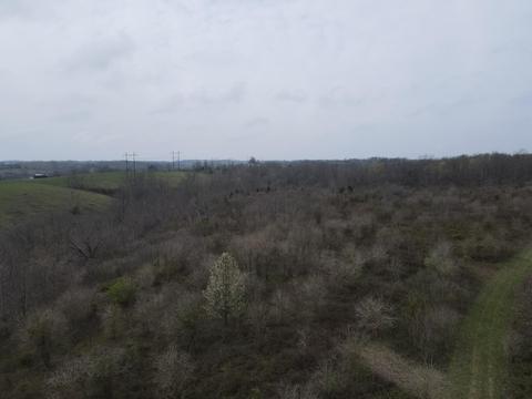 45 Jack Black Rd, Lancaster, KY 40444 photo 34