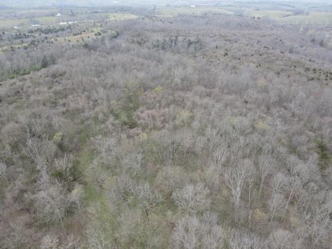 45 Jack Black Rd, Lancaster, KY 40444 photo 52