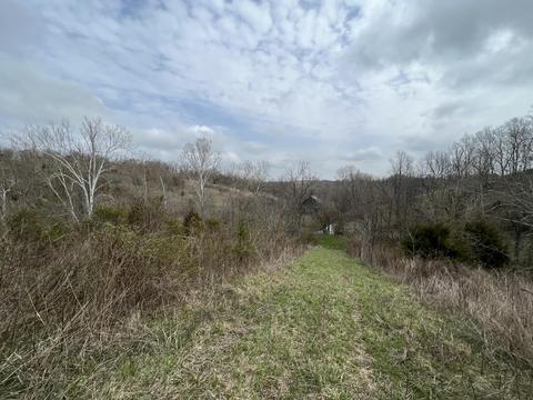 45 Jack Black Rd, Lancaster, KY 40444 photo 9