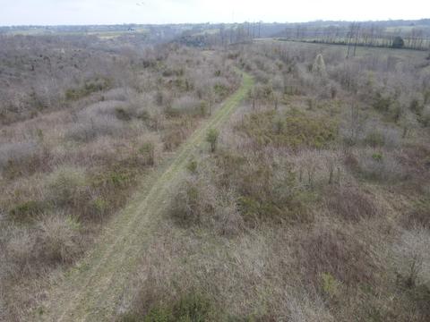 45 Jack Black Rd, Lancaster, KY 40444 photo 49