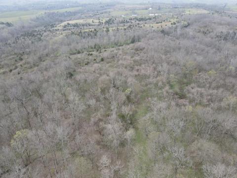 45 Jack Black Rd, Lancaster, KY 40444 photo 50