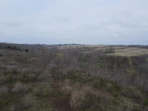 45 Jack Black Rd, Lancaster, KY 40444 photo 33