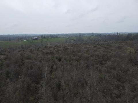 45 Jack Black Rd, Lancaster, KY 40444 photo 18