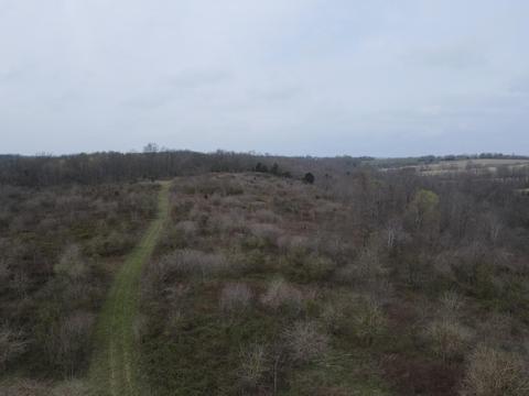 45 Jack Black Rd, Lancaster, KY 40444 photo 28