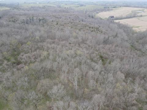 45 Jack Black Rd, Lancaster, KY 40444 photo 51