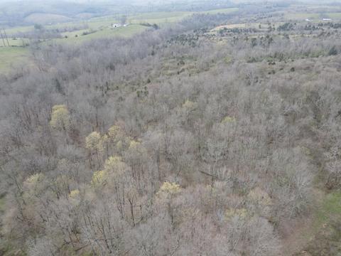 45 Jack Black Rd, Lancaster, KY 40444 photo 46