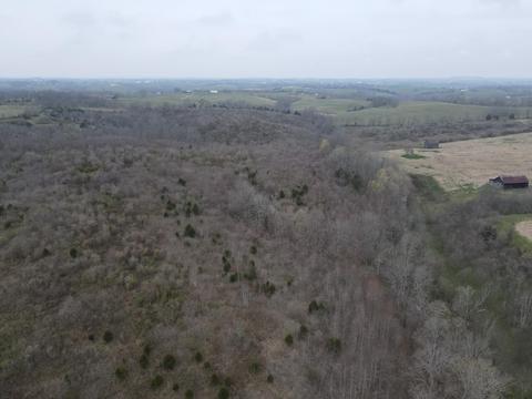 45 Jack Black Rd, Lancaster, KY 40444 photo 24