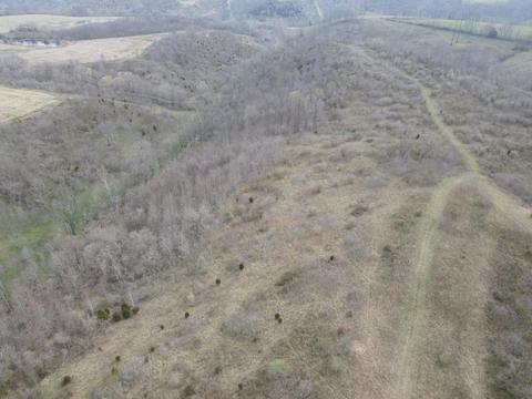 45 Jack Black Rd, Lancaster, KY 40444 photo 54