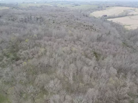 45 Jack Black Rd, Lancaster, KY 40444 photo 51