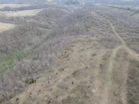45 Jack Black Rd, Lancaster, KY 40444 photo 54
