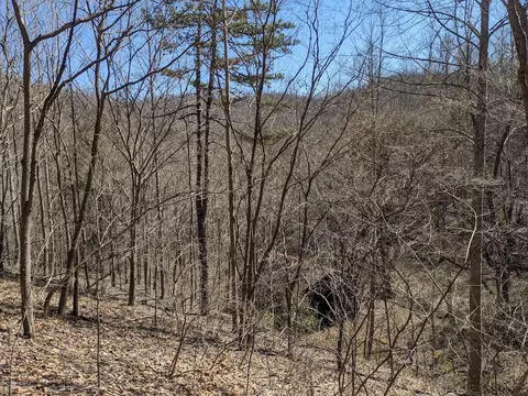 10895 N Ky 11, Green Road, KY 40946