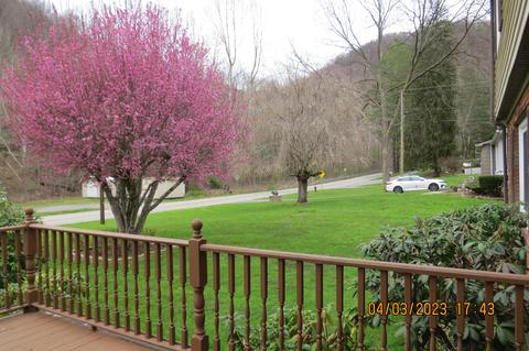 556 E Main St, Lynch, KY 40855 photo 105