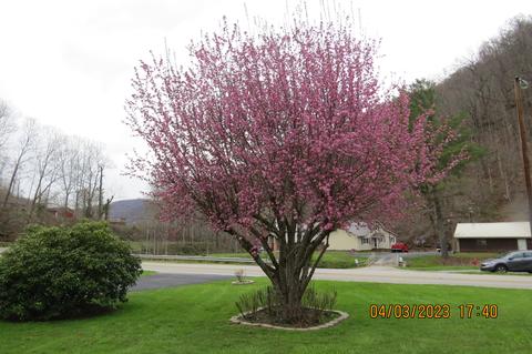 556 E Main St, Lynch, KY 40855 photo 93