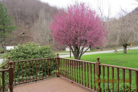 556 E Main St, Lynch, KY 40855 photo 104