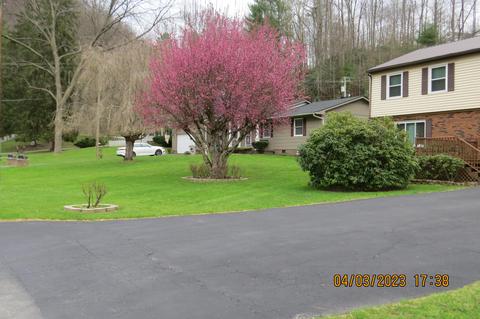556 E Main St, Lynch, KY 40855 photo 86