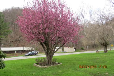 556 E Main St, Lynch, KY 40855 photo 94
