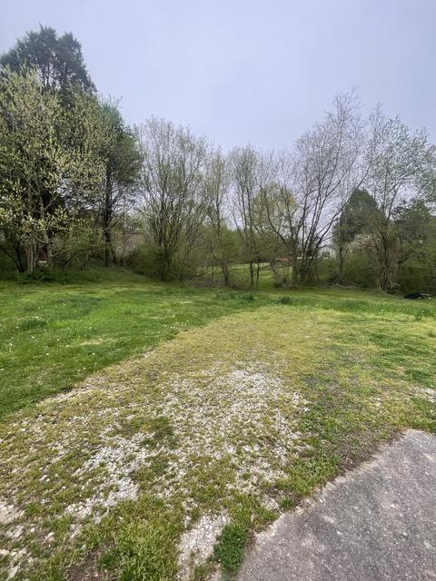 2047 Evergreen Rd, Flat Lick, KY 40935 photo 4