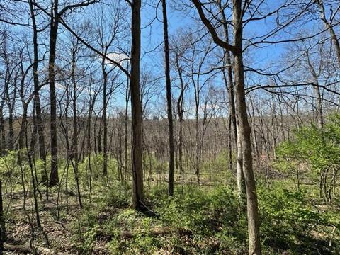 124 Hard Dr, Lancaster, KY 40444 photo 4
