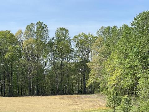 00 Knifley Rd, Elk Horn, KY 42733